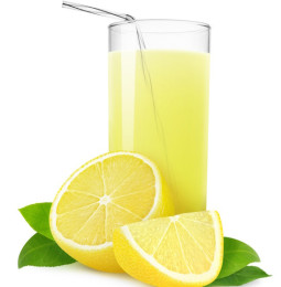 Carnet de notes Renard