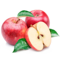 Carnet de notes Colibri